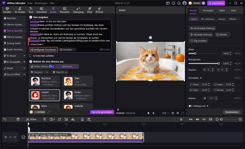 Edimakor Google AI Studio Alternative Intelligente Emotionen