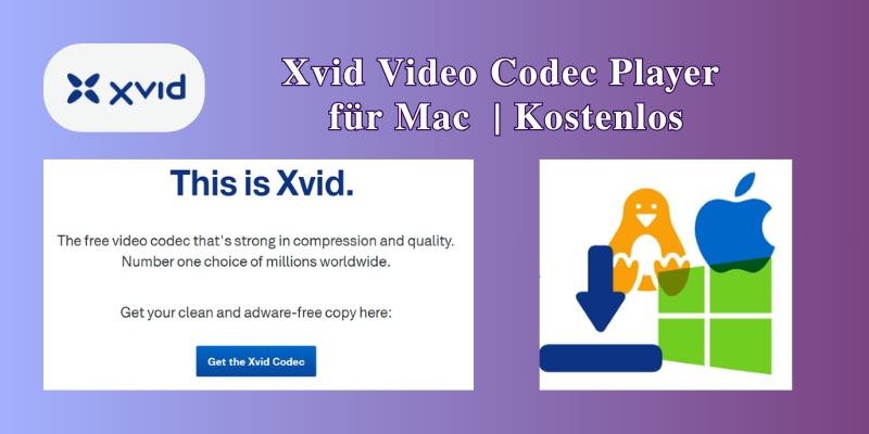 xvid video codecPlayer für Mac