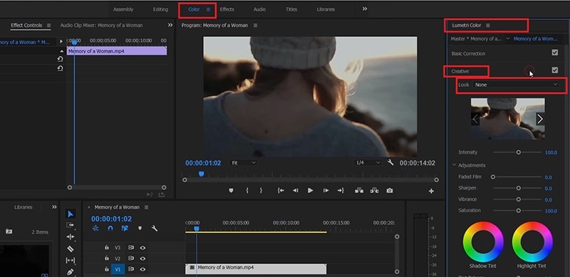 Adobe Premiere Pro