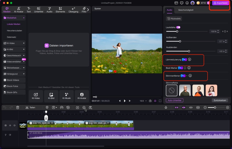 video ohne rauschen exportieren