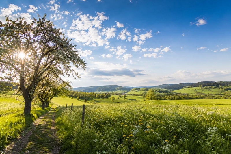 Frühlingslandschaft mit grünen Feldern und Blumen für Pfingsten 2026