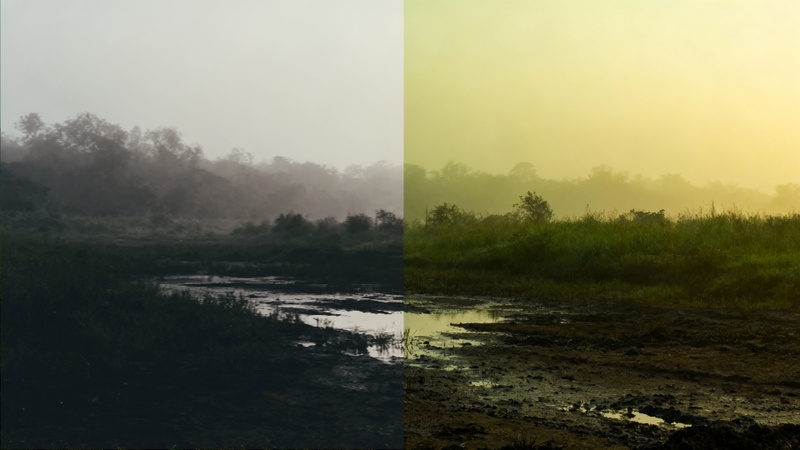 Video Farben verbessern mit professioneller Farbkorrektur