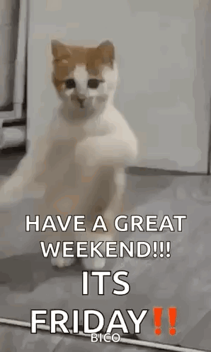 3 thank god its friday thank god its friday