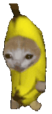 best banana cat