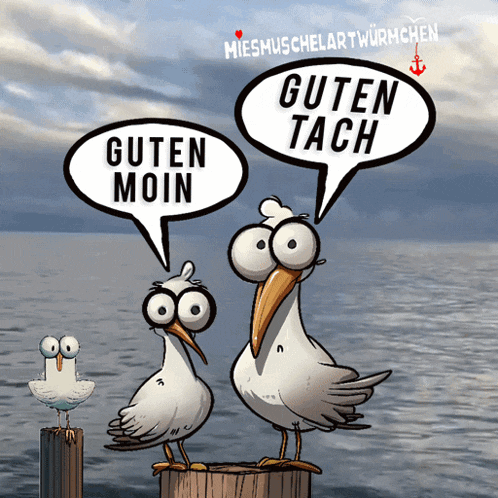 dialekt meer
