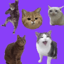 lustige-gifs-fur-whatsapp