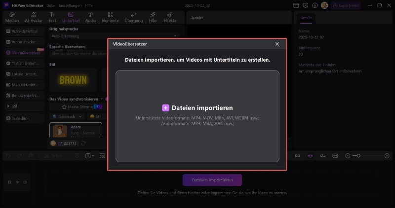 Videos übersetzen Schritt 2