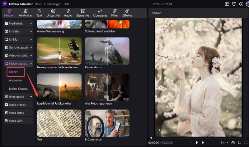 KI-Modelle für Bildverbesserung auswählen