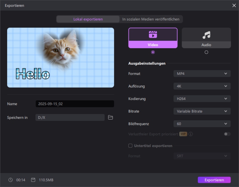 Video-Maskierung Export aus Edimakor